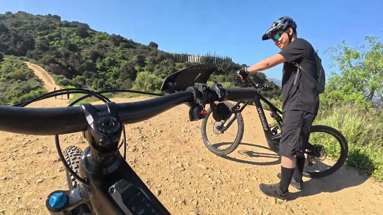 Powder Canyon MTB 2026: Purple & Yellow Flowers Blooming