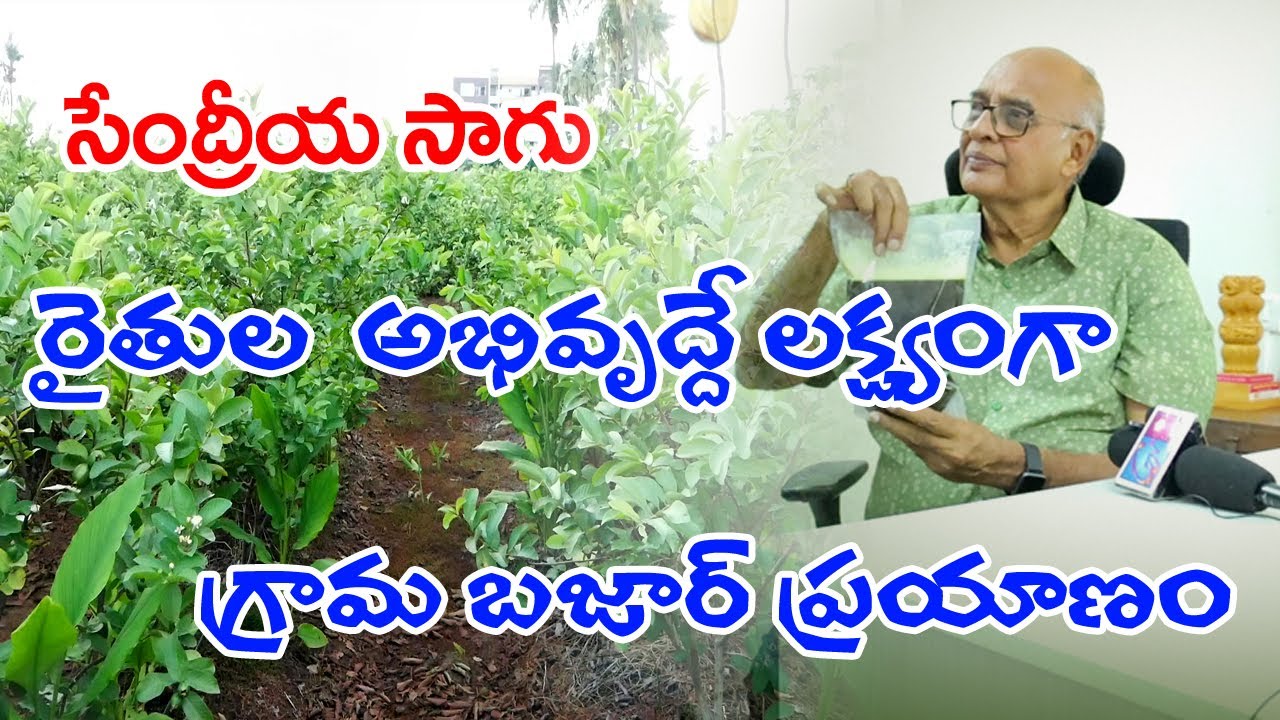 Future Of Benefits Organic Farming Gram Bazaar
