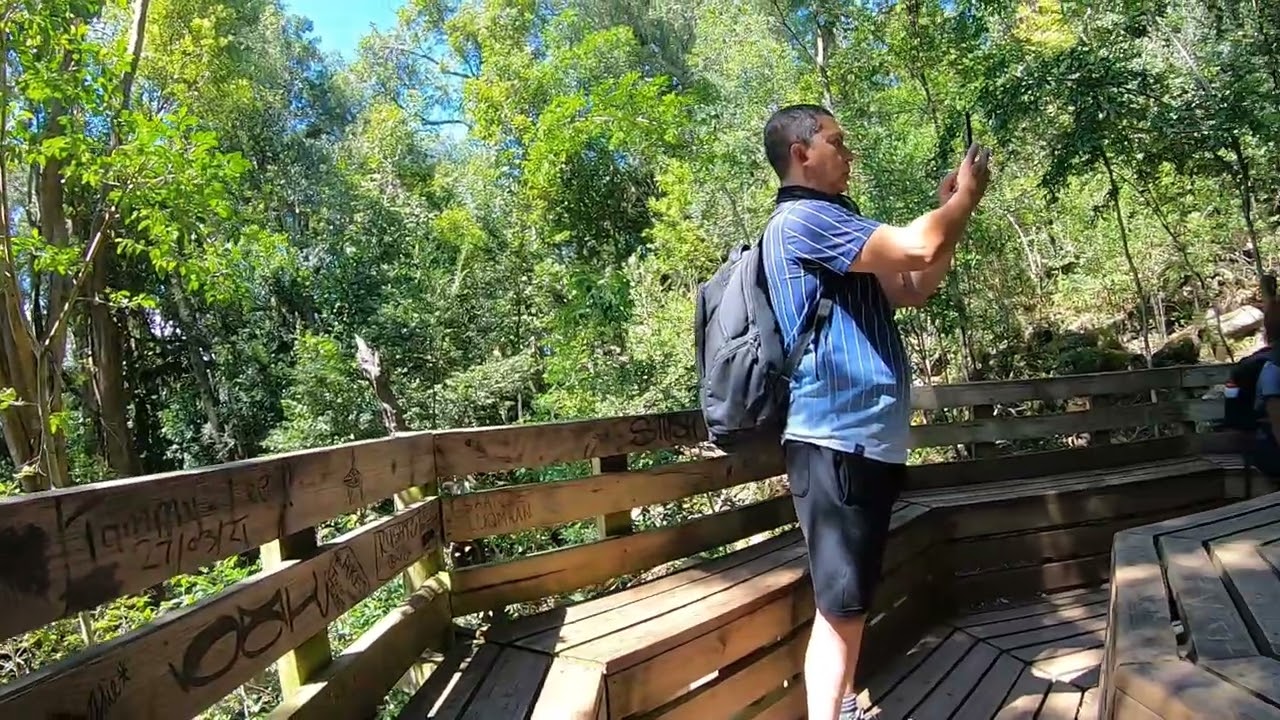 Newlands Forest in 1080 HD  - Boris's Route with Hike 4 All and Off the Grid.