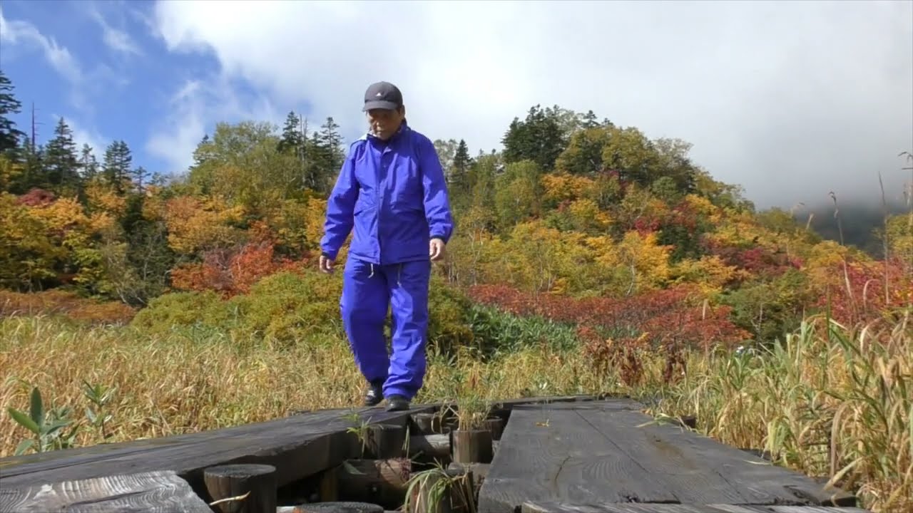 秋の白馬栂池自然園