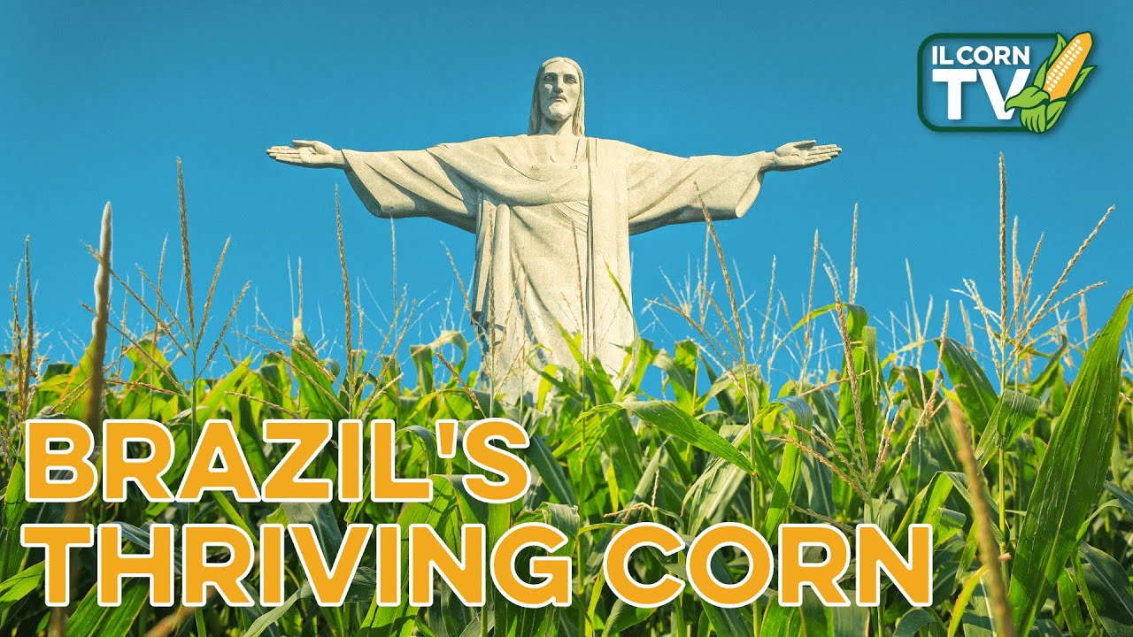 Cover Crops, Watching Brazil&rsquo;s Corn Production and Improvements to Lock 25  | IL Corn TV #33
