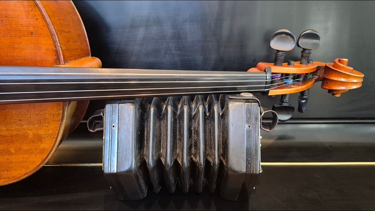World Concertina Day 2026 - The Cobbler's/Presbyterian/Dusty Miller hornpipes