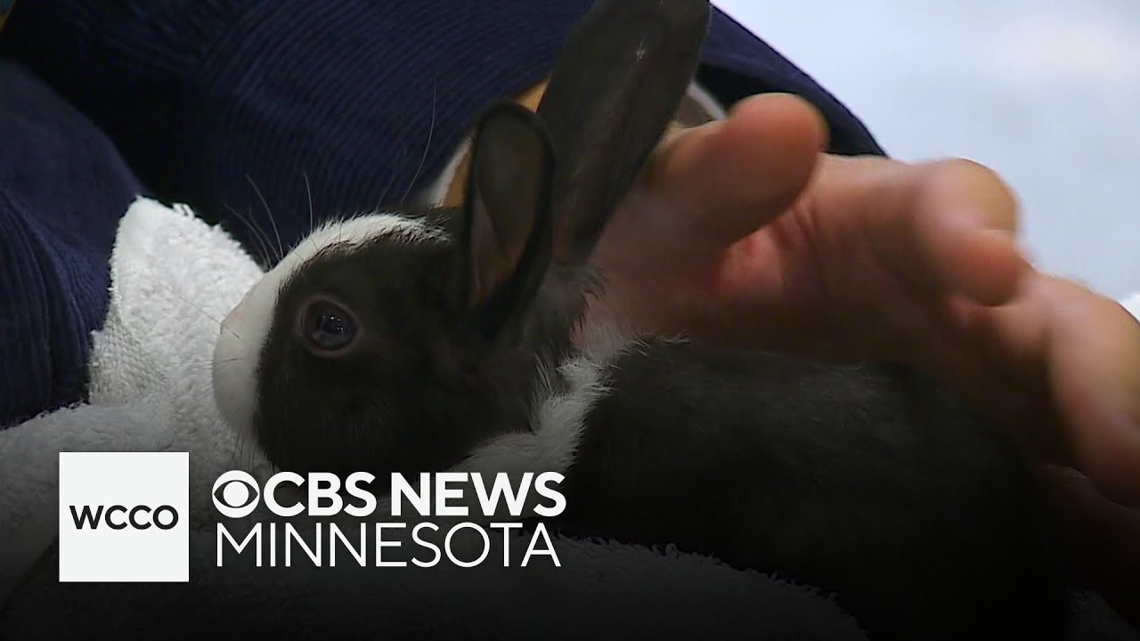How the Miracle of Birth Center at the state fair started