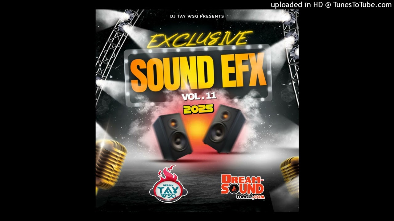 DJ TAY WSG - EXCLUSIVE SOUND EFX VOL.11 2025 (AUDIO PREVIEW)