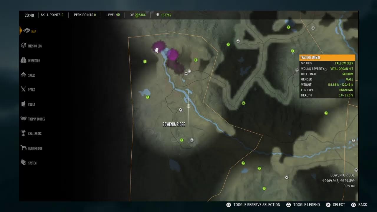 The hunter call of the wild