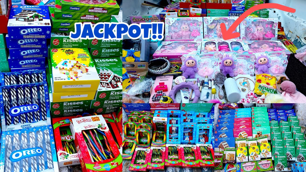 Dumpster Diving 2026 JACKPOT!! Cookies,Candies at Cute Plush Keychain! 