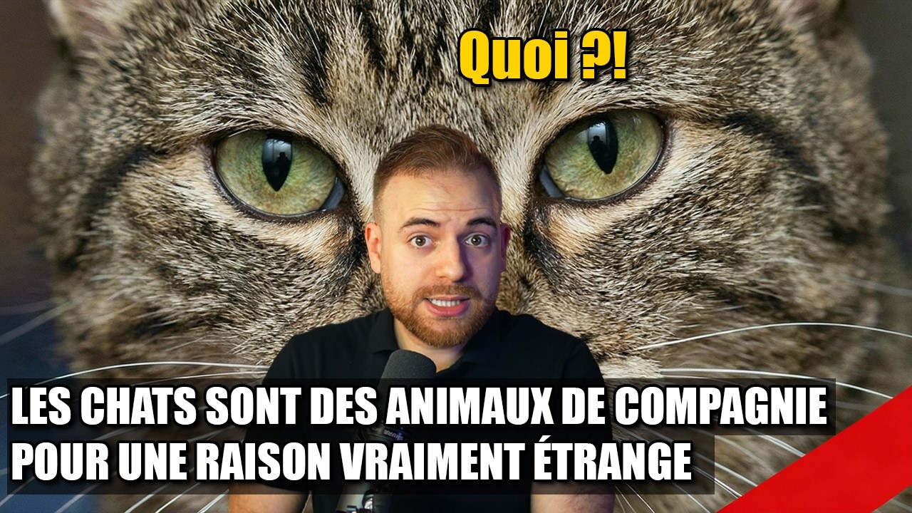 On s'est trompés sur la domestication des chats et comment ils ont conquis le monde.