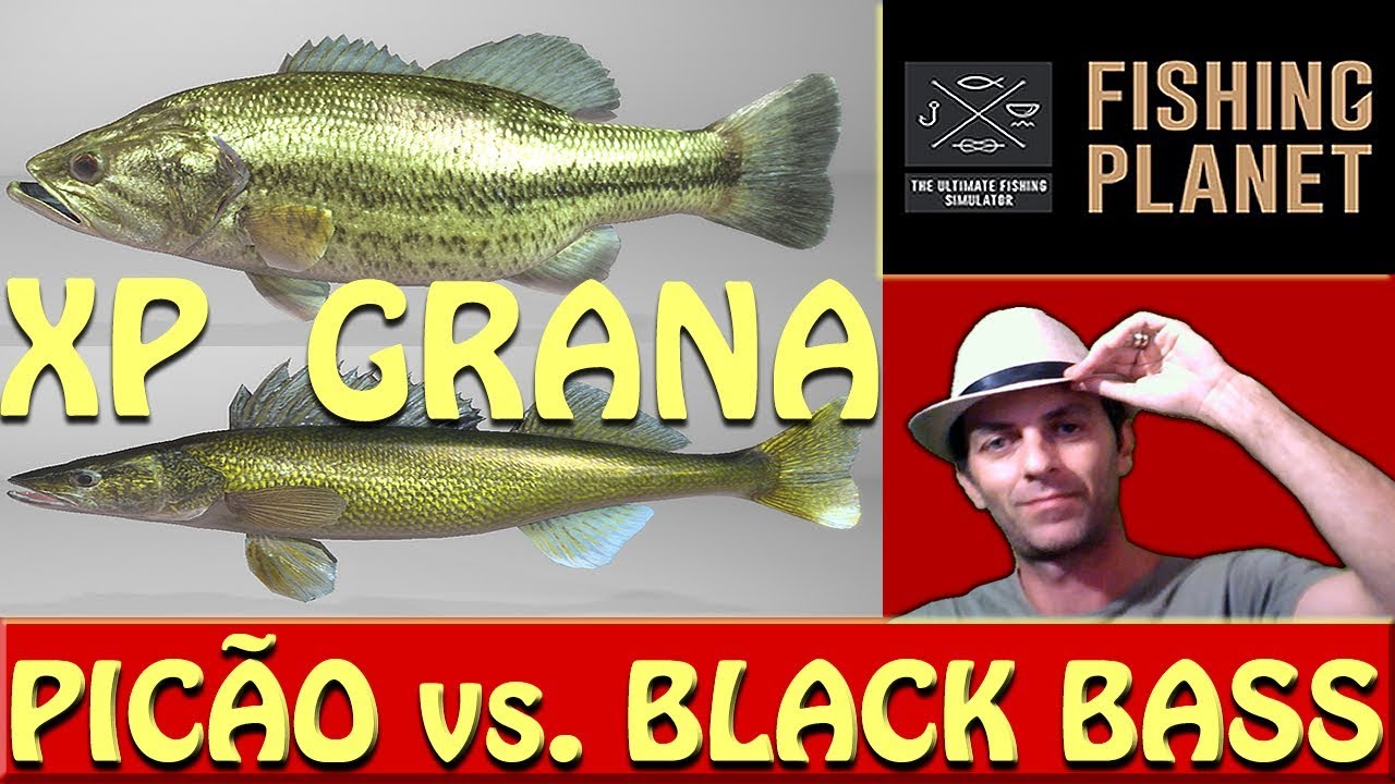 FISHING PLANET :: PICÃO OU BASS - QUAL MELHOR XP e DINHEIRO ? :: DICAS 2018 ::