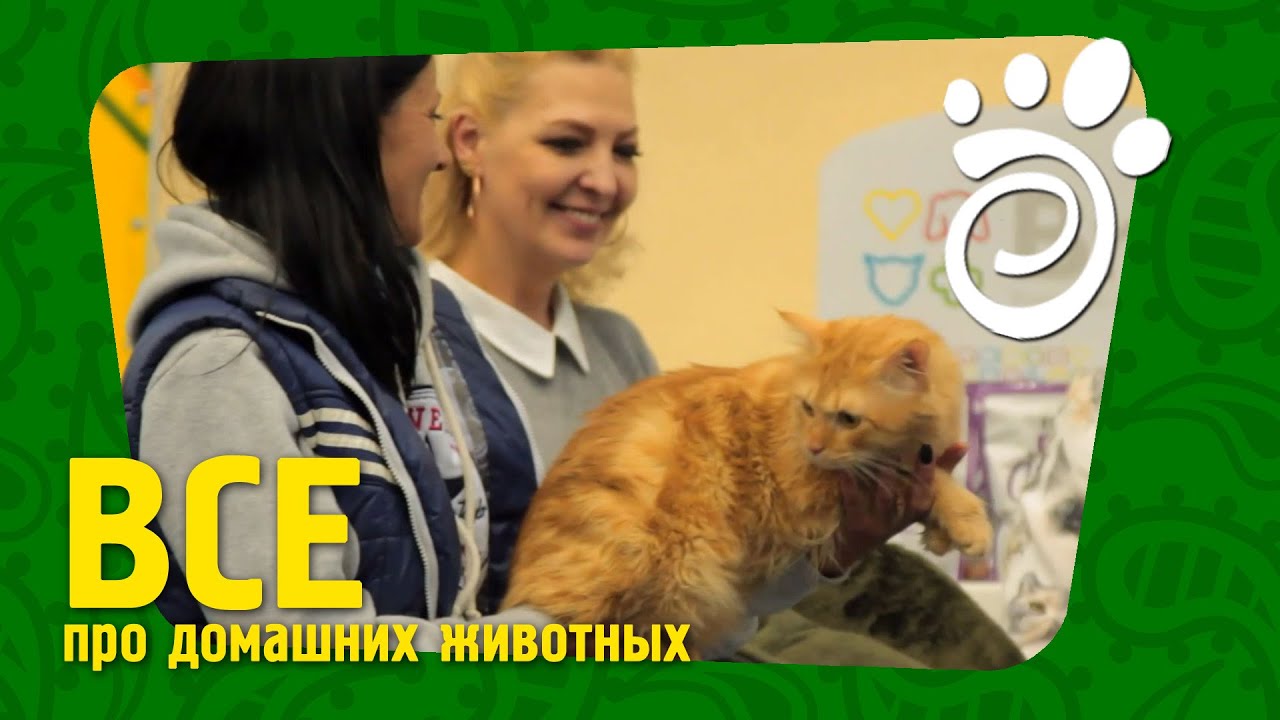 Выставка 