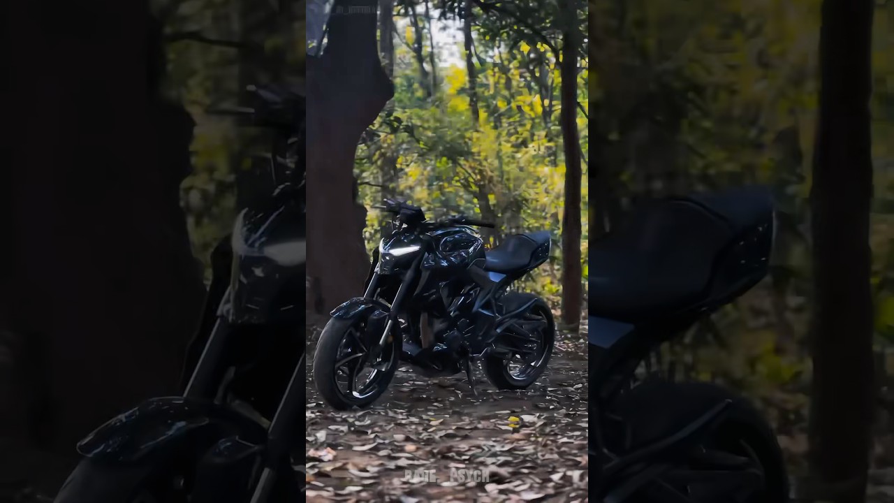 New Zontes 350r #zontes350r