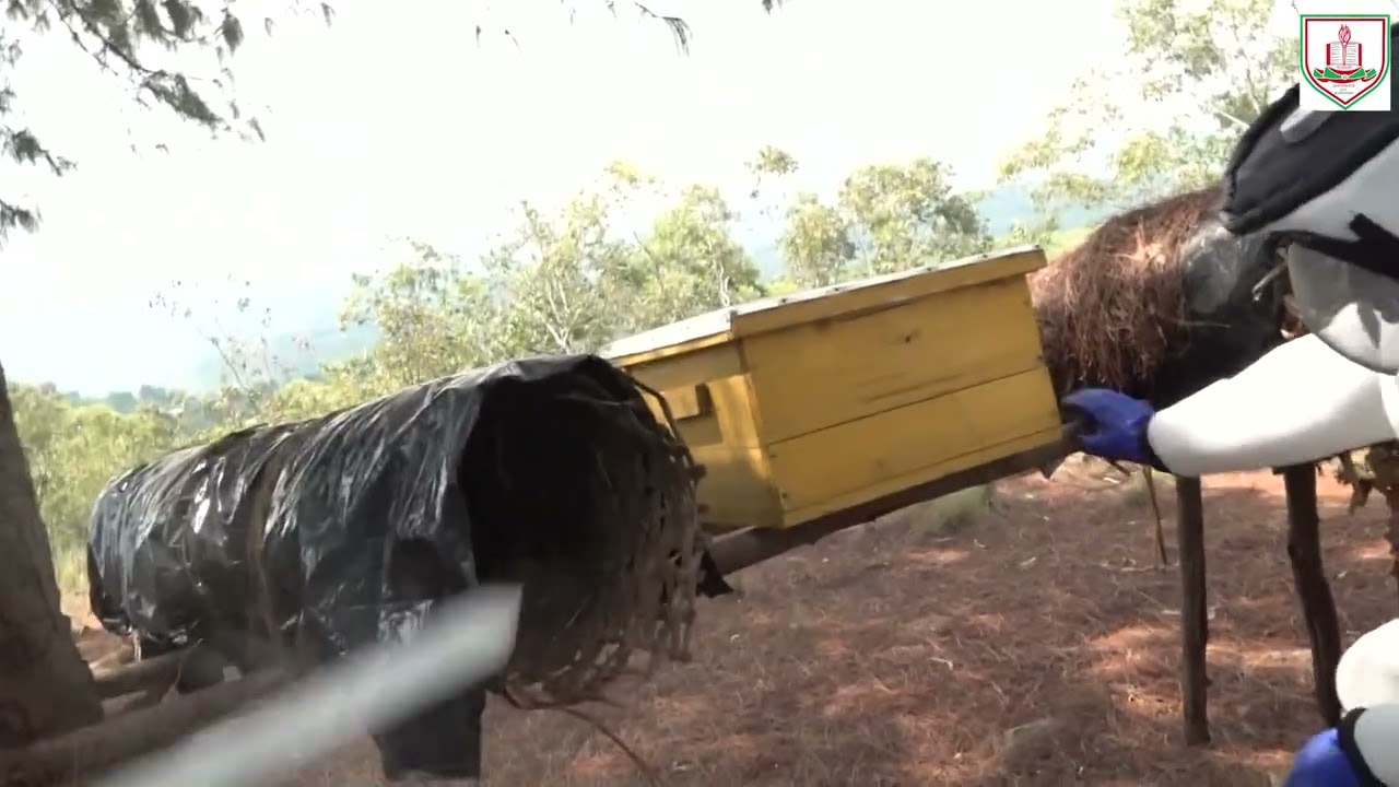 Contribution de l'ARES et UB dans le renforcement des capacités des apiculteurs du Burundi.