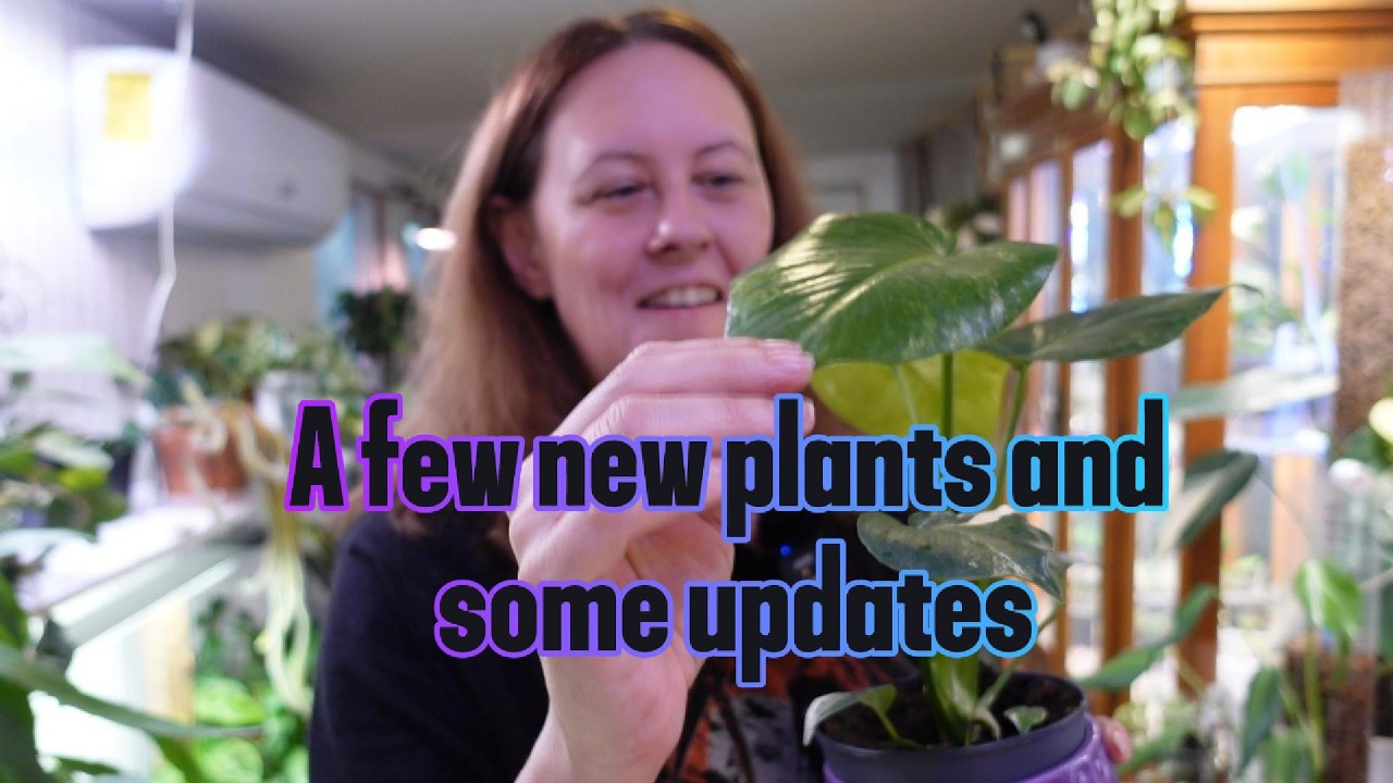 Downsized and immediately got new plants | Updates and Haul