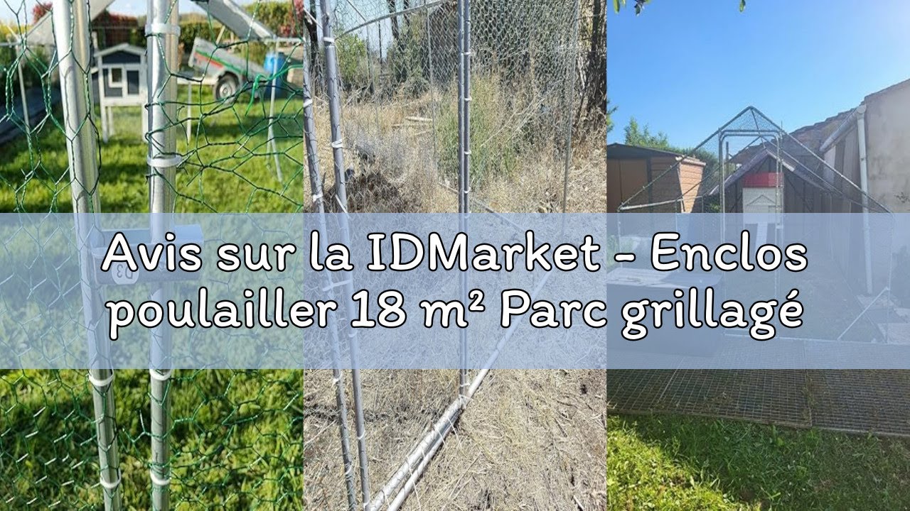 Avis sur la IDMarket - Enclos poulailler 18 m² Parc grillagé 6x3 M Acier galvanisé