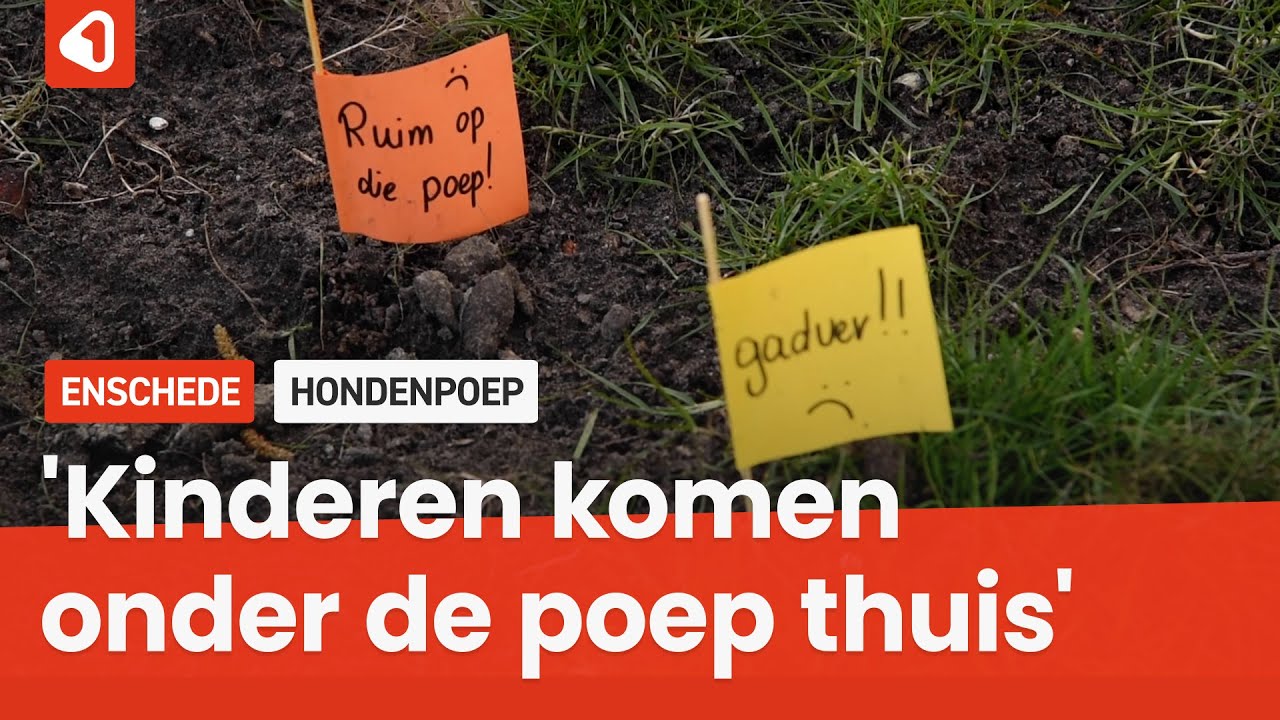 Strontvervelend probleem Lindestraat: 140 hondendrollen 'gevlagd'