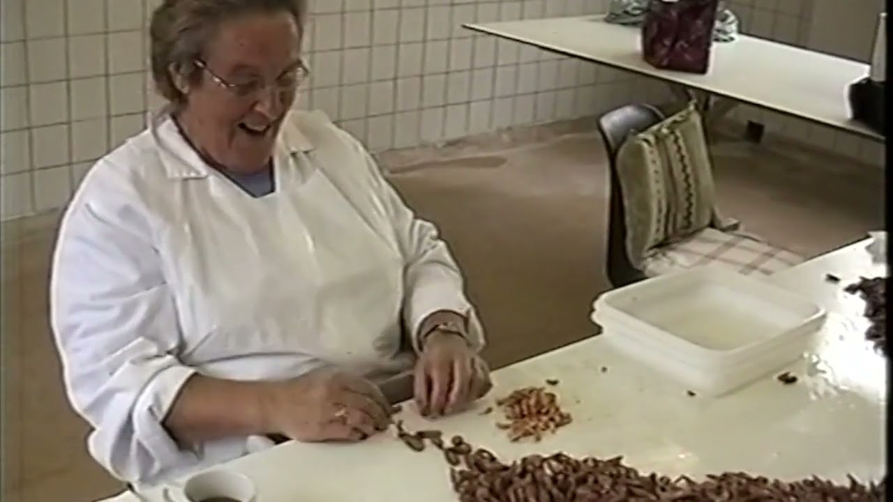 Stellendamse garnalen 2005