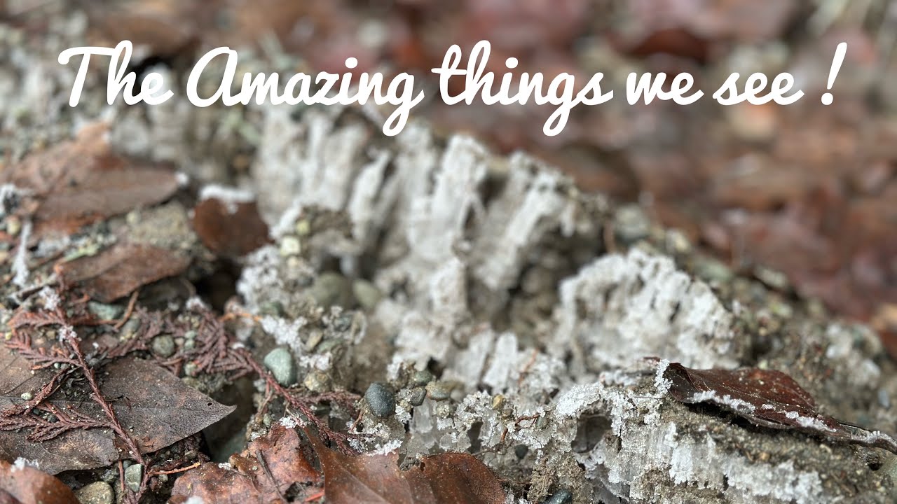 Vanlife- Those Ice Crystals 