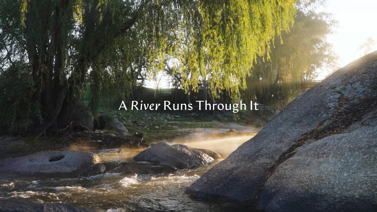 A River Runs Through It - The Eerste River