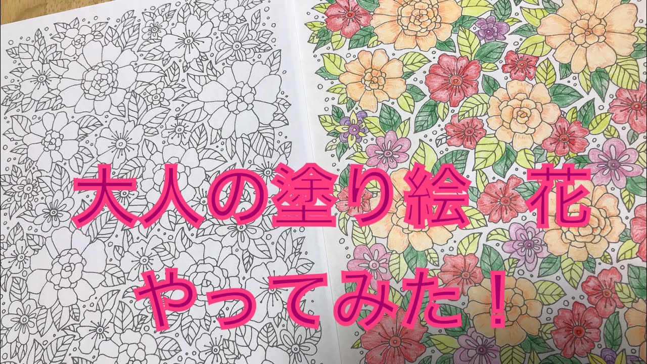大人の塗り絵   (花)  本気で色鉛筆でぬってみた！