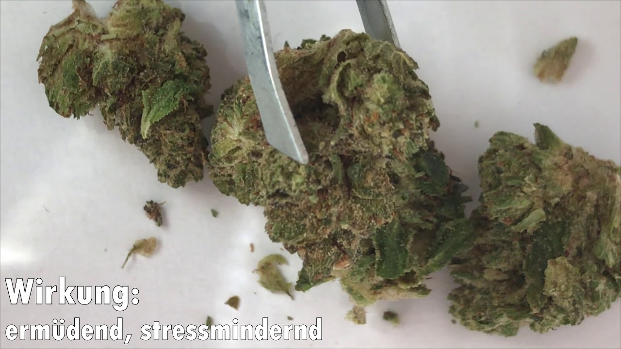 Tilray 25 Indica (RockStar)