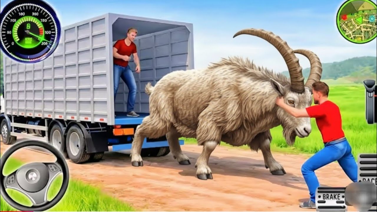 Transporting Goats Was Harder Than We Expected… 🐐🐑