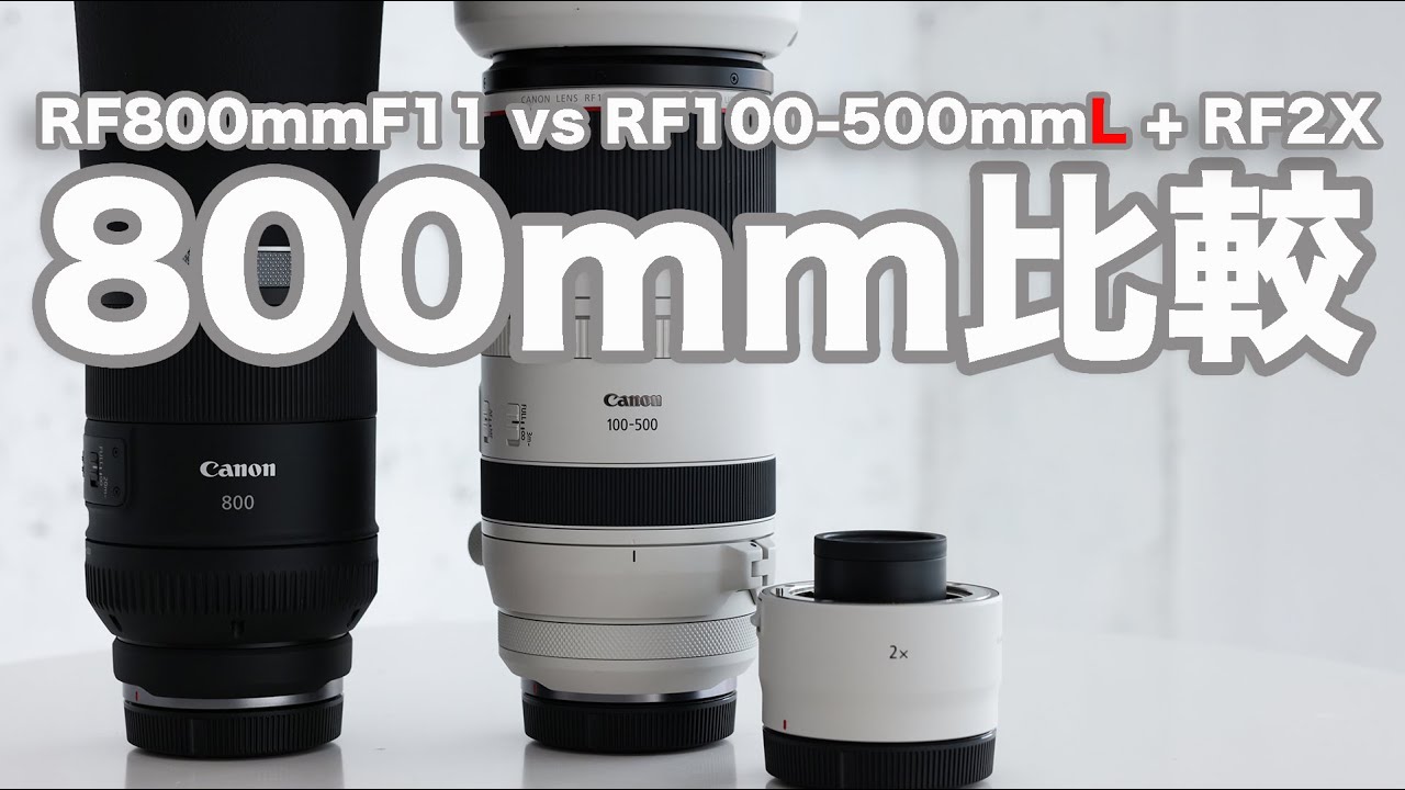 「RF800mm F11 vs RF100-500mm L + RF2X 800mm対決」