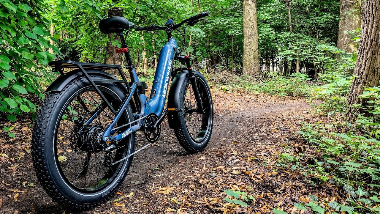 Mokwheel Obsidian ST - E-Bike mit Vollausstattung für gutes Geld