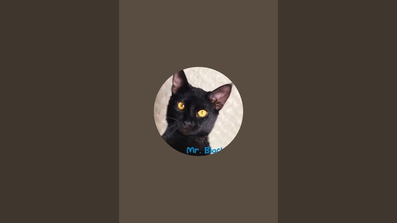 Getting 4.25K Subscribers