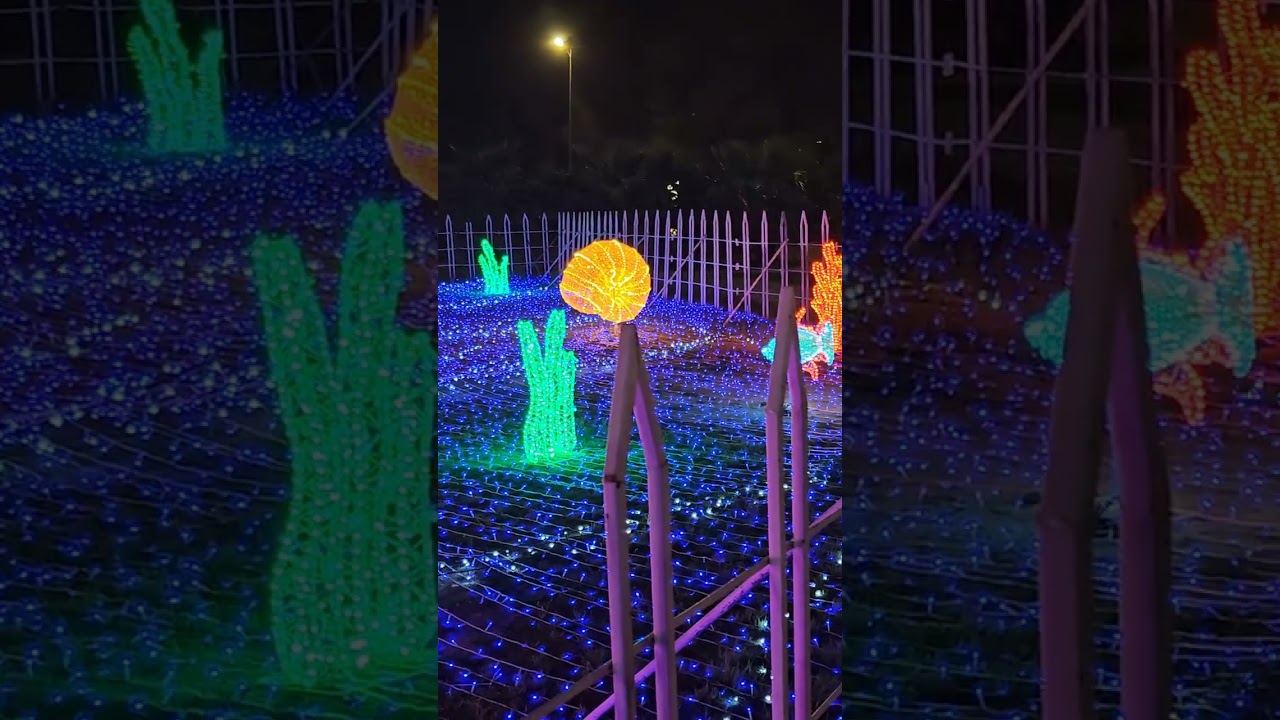 Ahmadi lights 2026