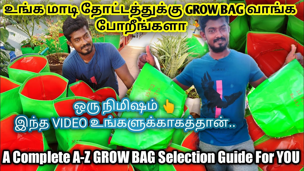 மாடி தோட்டம் | GROW_BAG SELECTION - EXPLAINED | HOW TO SELECT GROW_BAG(SIZE) | MAADI THOTTAM |TAMIL
