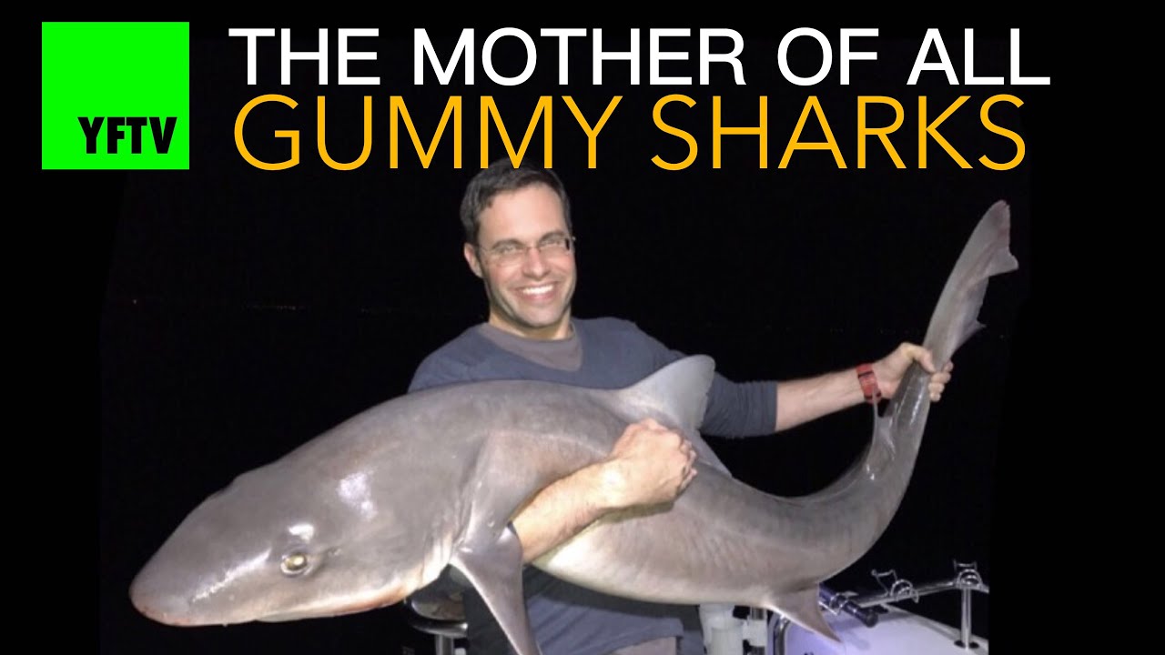 AUSTRALIA’S MOST POPULAR FISH!