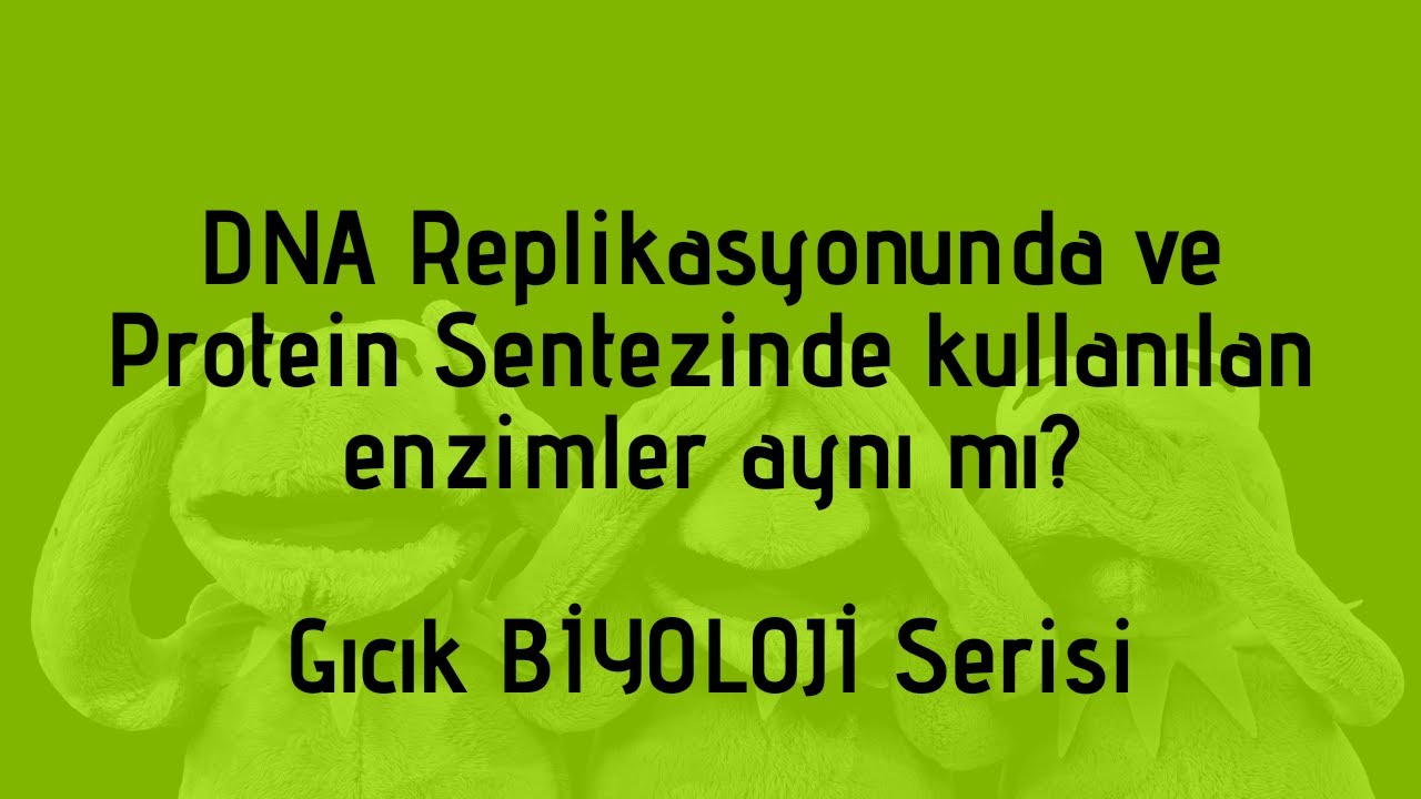 DNA replikasyonunda ve Protein sentezinde kullanılan enzimler aynı mı?