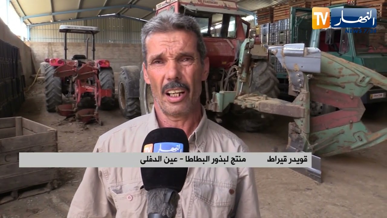 عين الدفلى:  انتاج هائل لبذور البطاطا يقابله مشكل التسويق بسبب الجفاف
