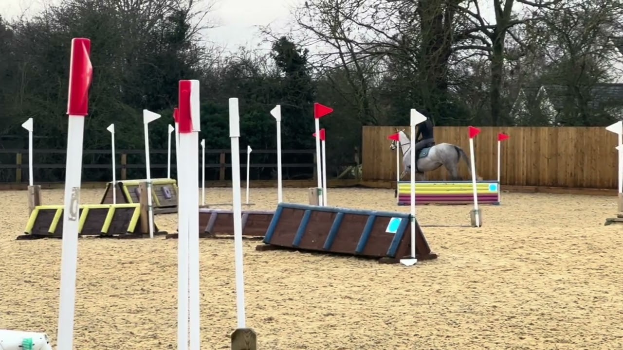 Cross Country Schooling Ivy Feb