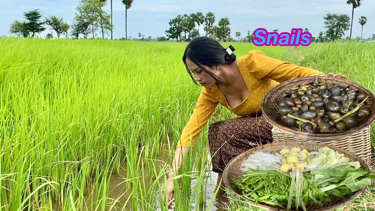 This Is How Cambodian People Cook Snails Soup| Snails Soup Recipe