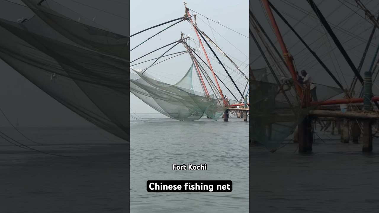 Chinese fishing net @ kochi 
