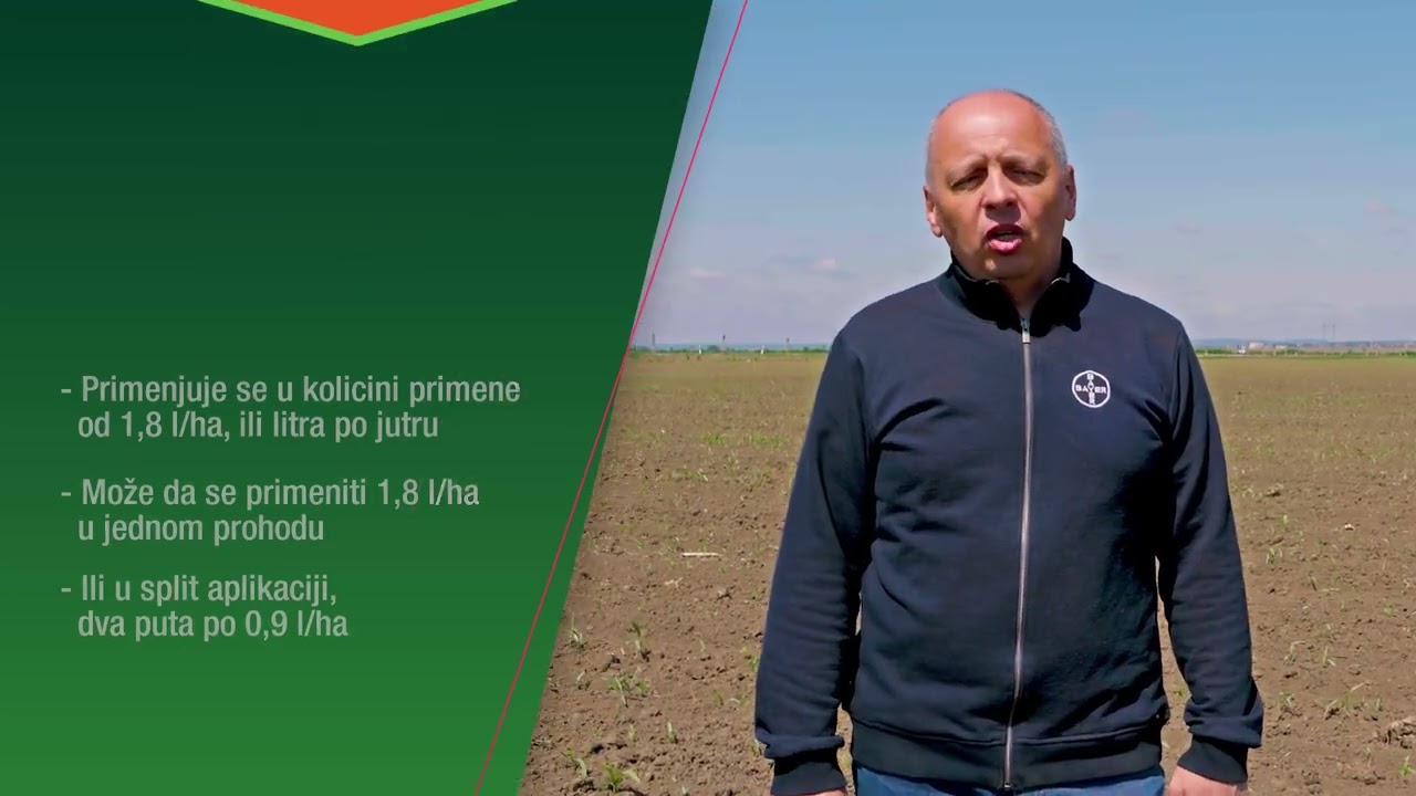 Bayer Monsoon Active 2024