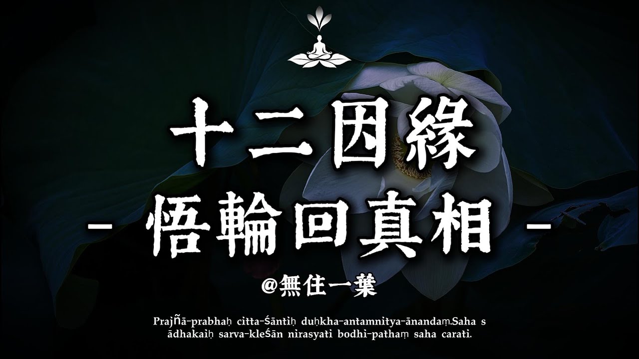 輪回為何纏著你不放？｜十二因緣讀透生命循環，無住一葉指路覺醒歸途。#修行 #國學 #人生感悟 #治癒 #佛學 #哲學 #人生感悟 #修心