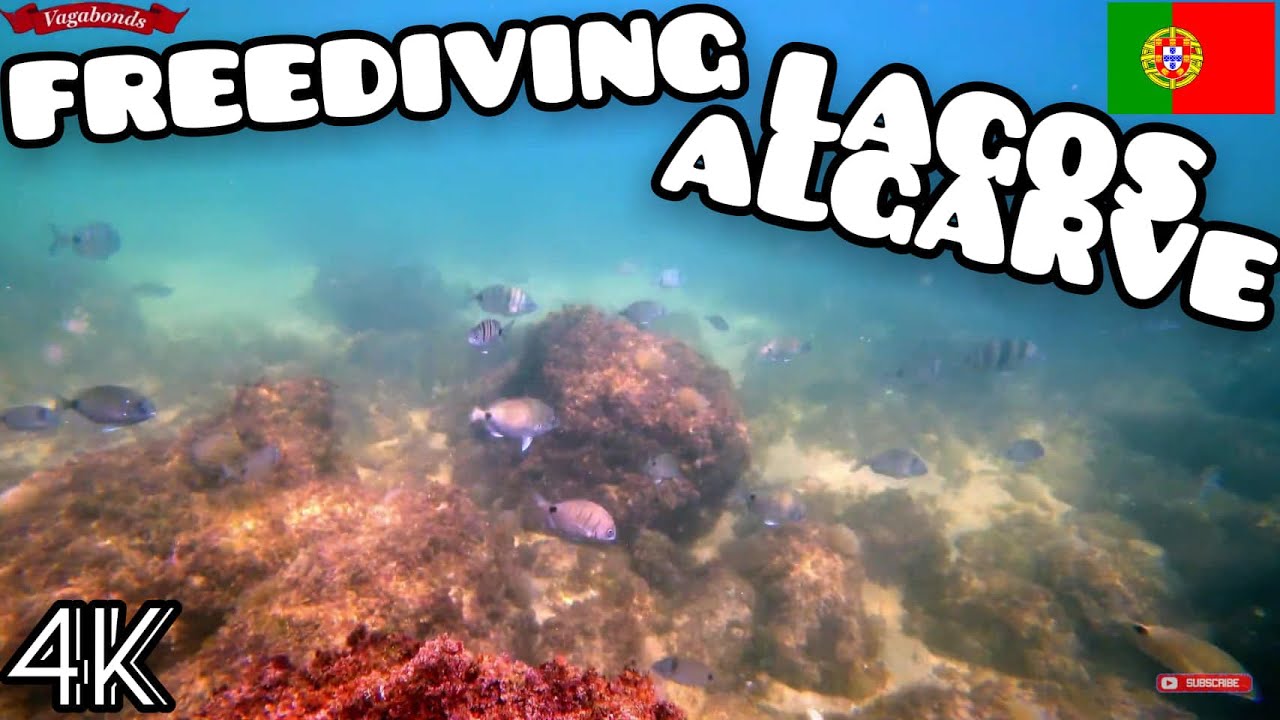 FREEDIVE | Underwater Exploration - Lagos Algarve Portugal 4K