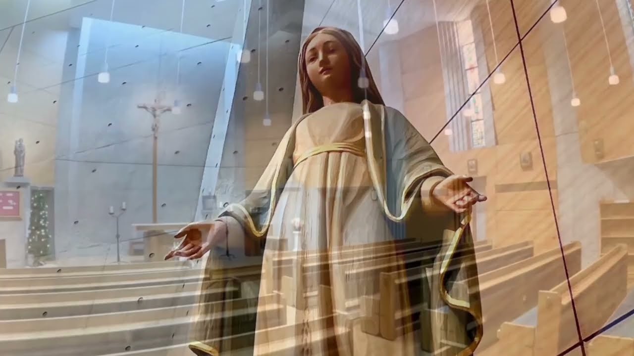 聖マリアンナ医科大学病院（施設紹介）