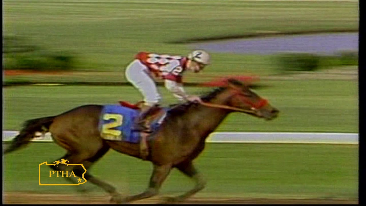 Summing Wins PA Derby 1981
