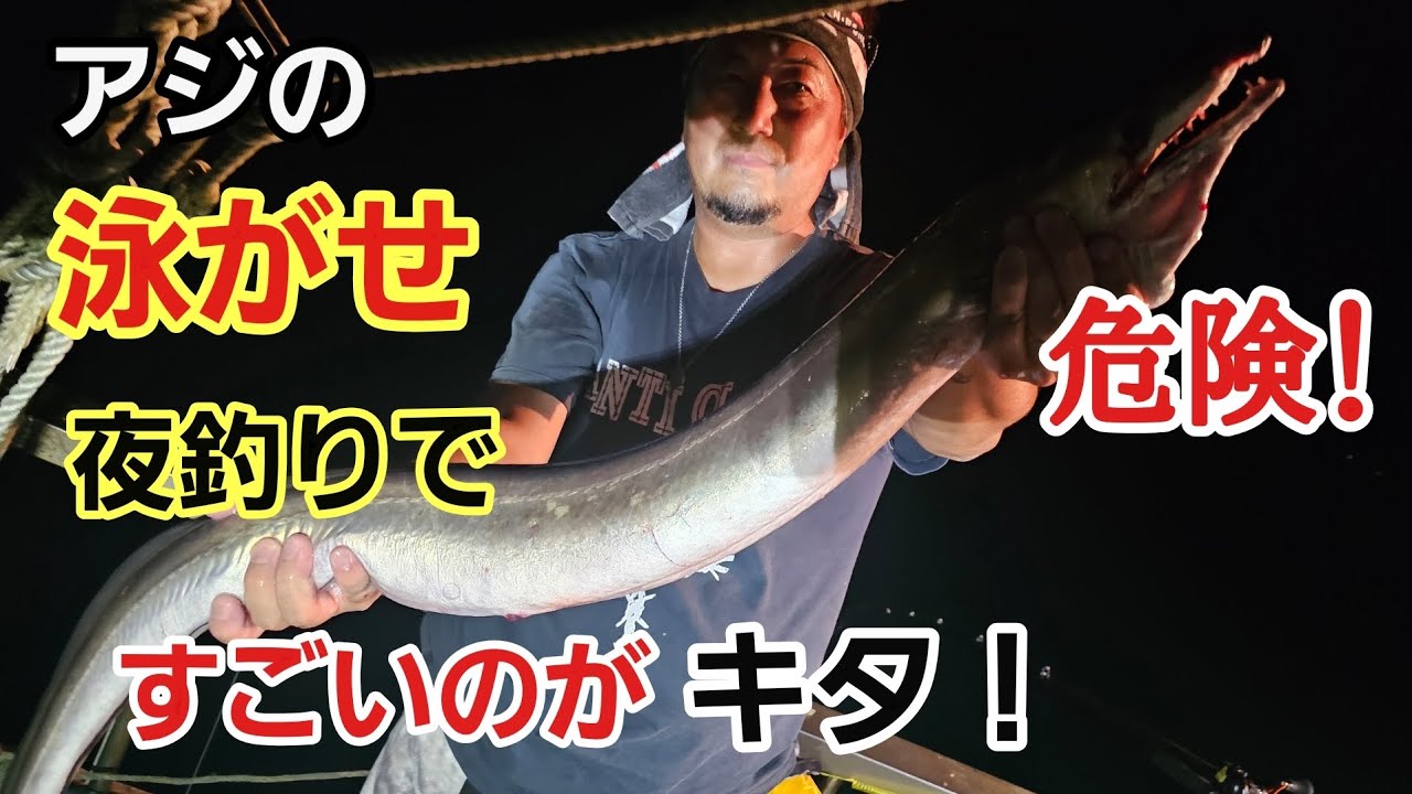 危険！【アジ泳がせ夜釣り】で、すごいのきた！！