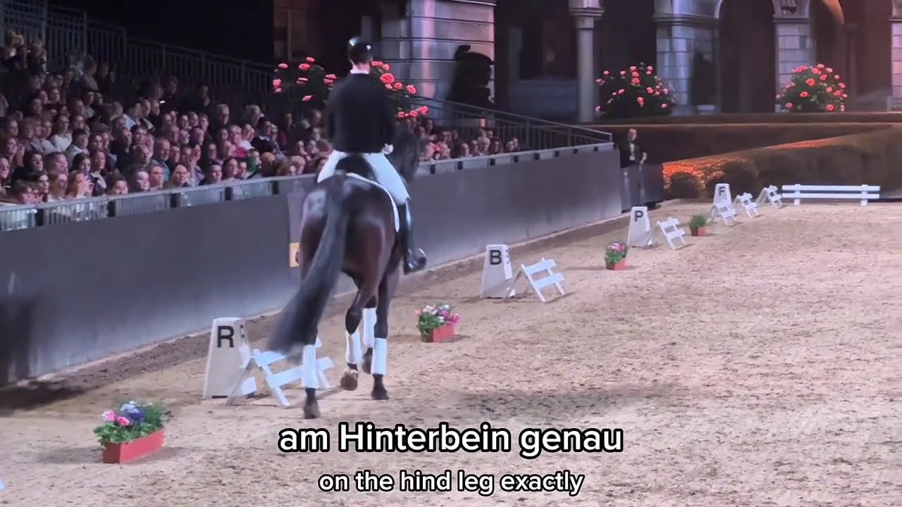 Jessica Van Bredow & Benjamin Werndl - EQUITANA 2025 -Part 2