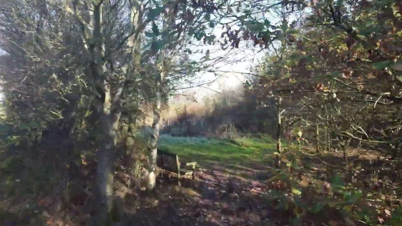 Greenhaven Woodland Burial Ground Autumn 2025
