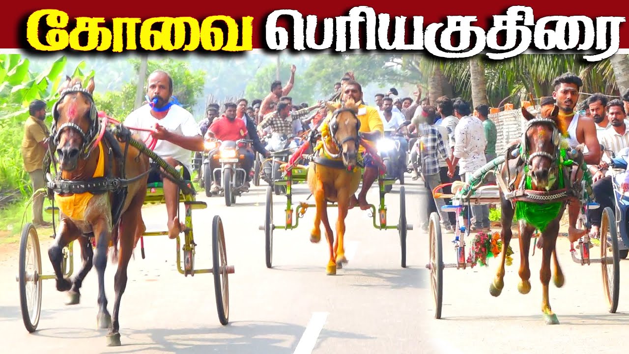 கோவை பெரியகுதிரை பந்தயம் 10.11.2025