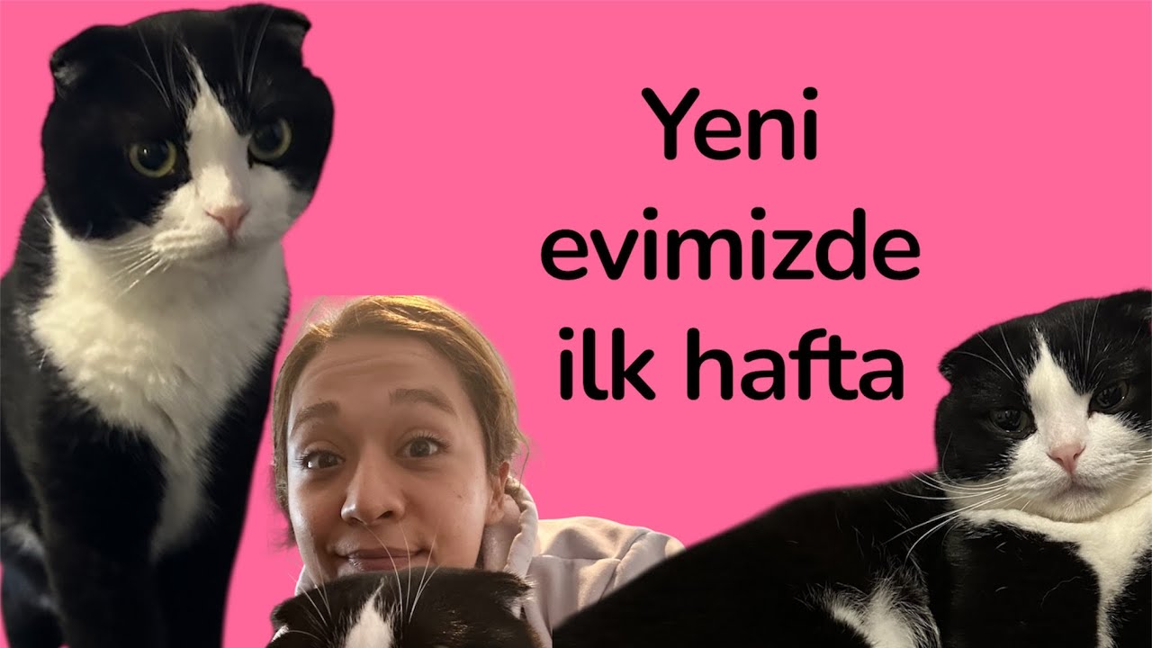 Yeni evimizin tamirat işlerini yapıyoruz 