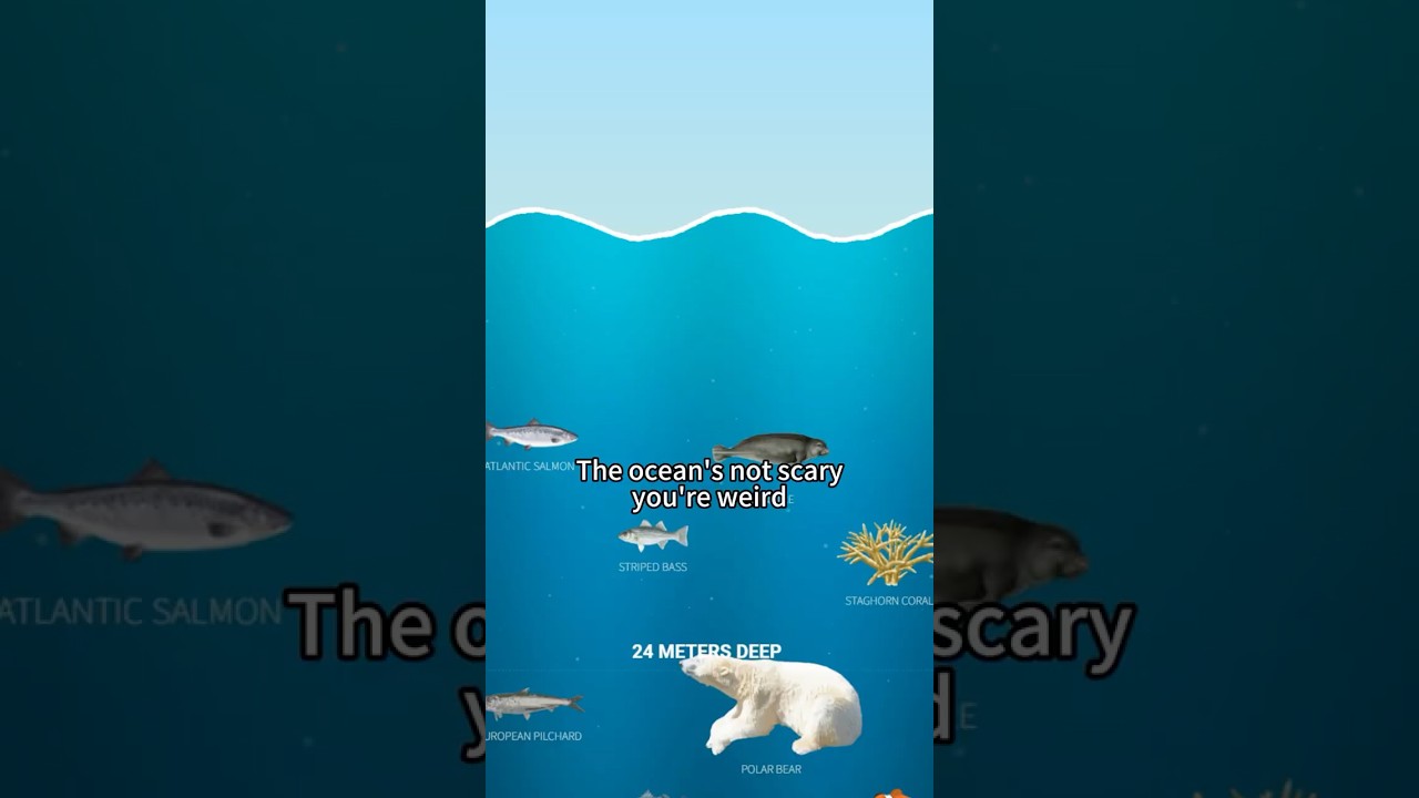 Deep-sea creatures 💀 