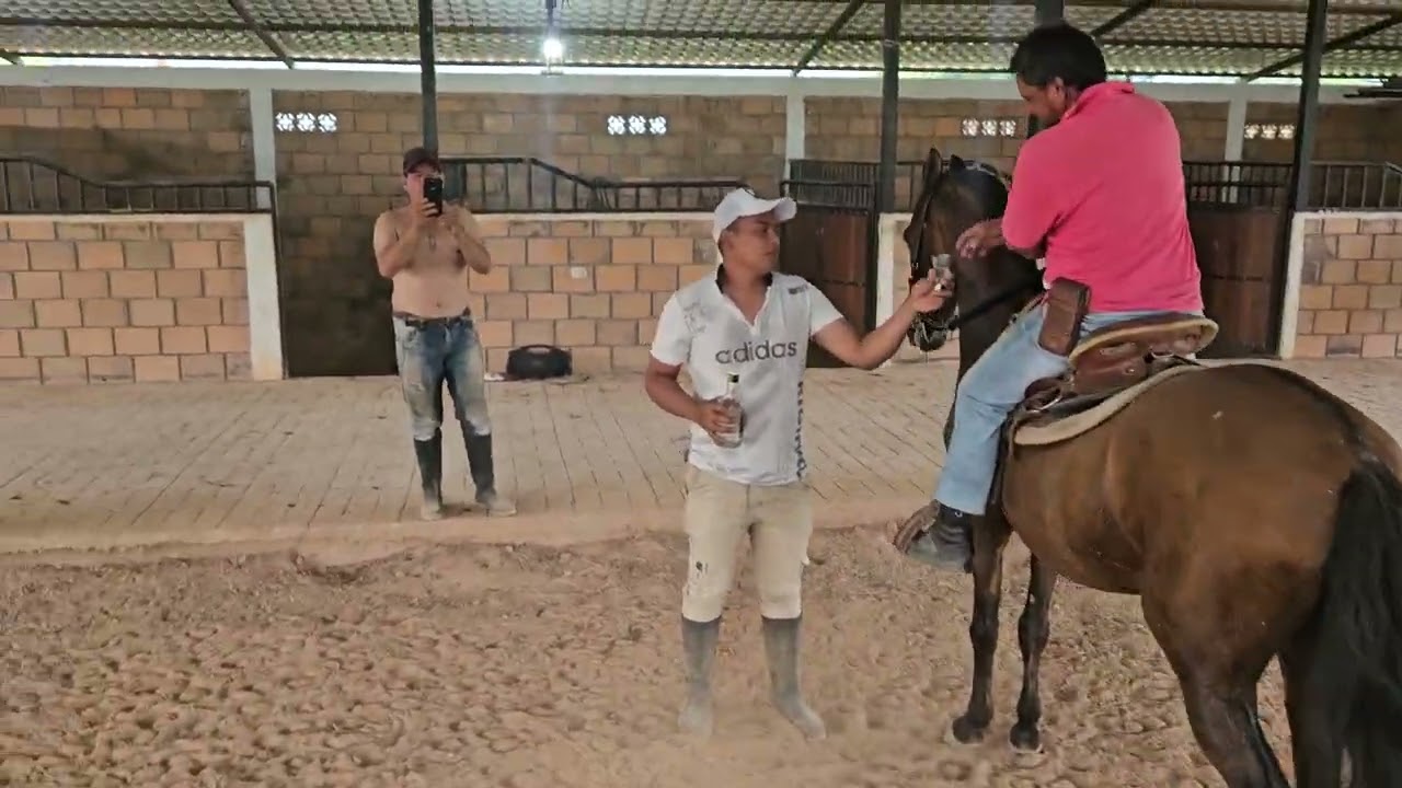 Alistándome para La cabalgata de mañana 