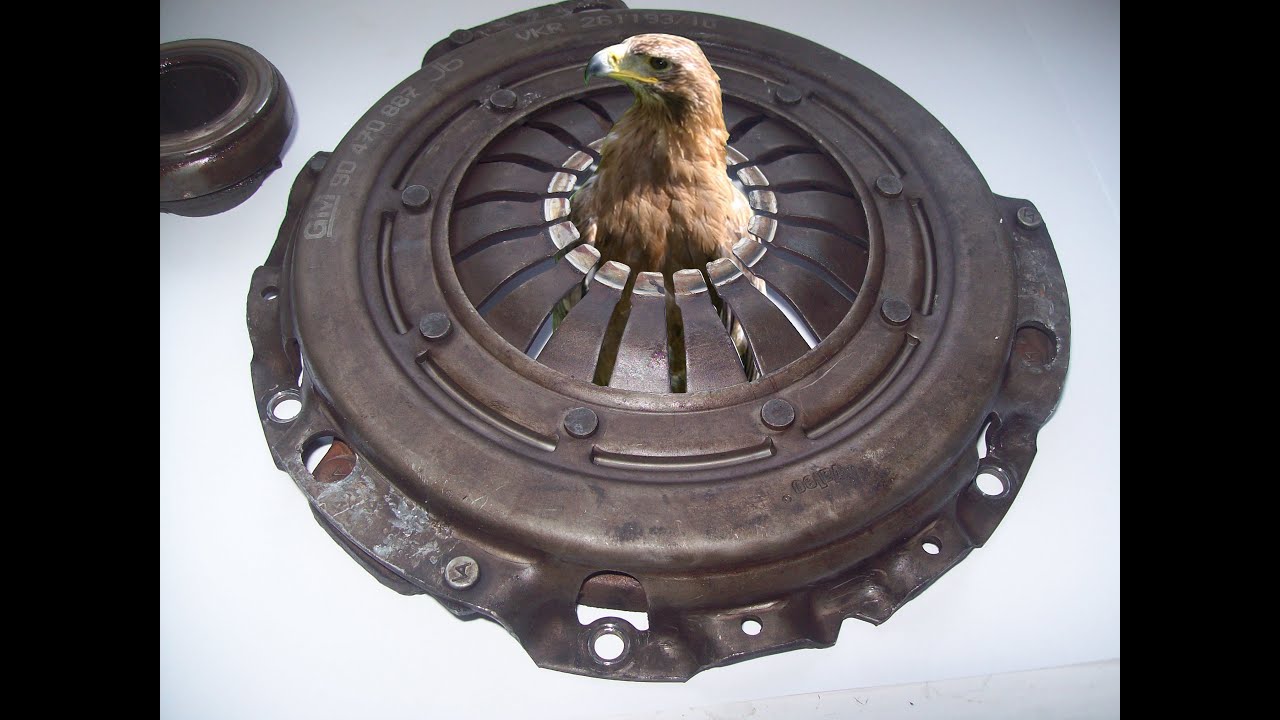 sprzęgło i pustynny orzeł momenty