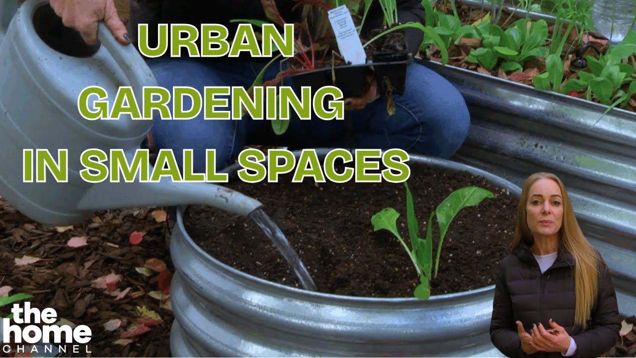 How One Square Metre Garden Proves Everyone Can Farm Organically