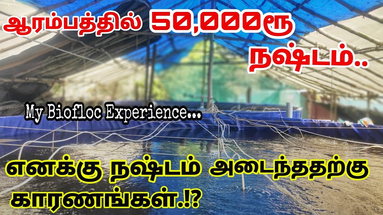 இந்த Method - ல biofloc பண்ணா 100% Success தான் | No Loss .